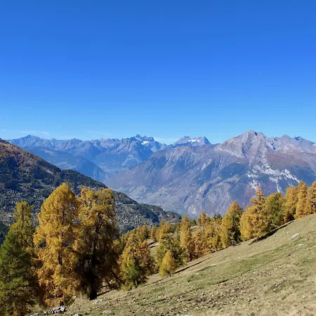 Spacious With Terrace Apartment