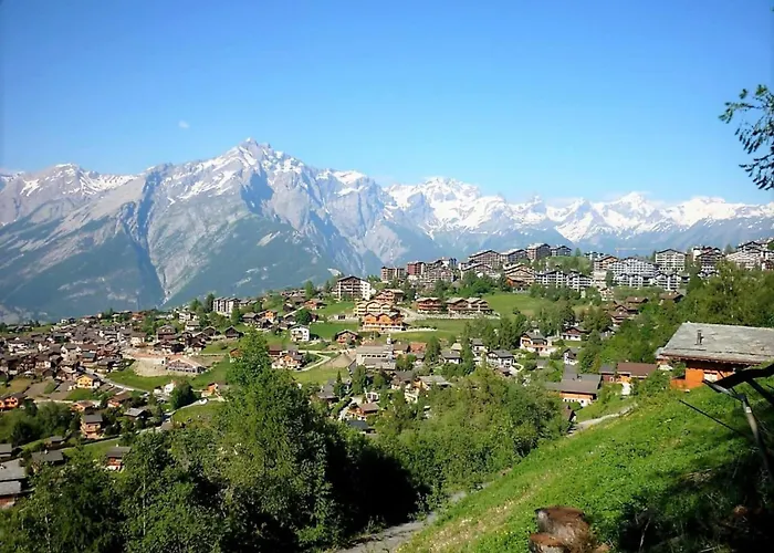 Spacious With Terrace Appartement Nendaz