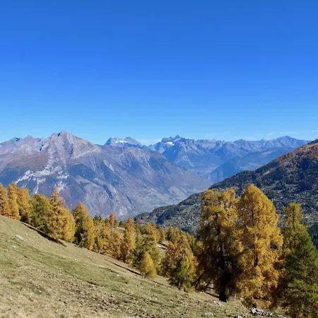 Spacious With Terrace Nendaz